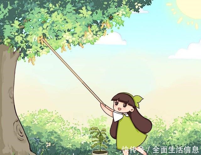 院里种棵“护家树”,开花红得像火,越养越有福气!