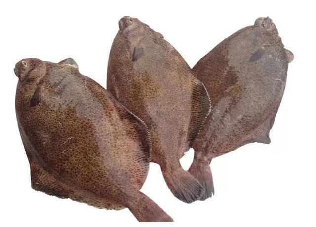 金枪鱼|入秋后,如果不差钱,记得给孩子吃5种深海鱼,DHA含量高