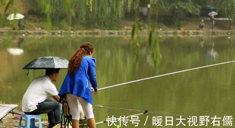 鲫鱼|一到夏天 是不是感觉鱼很难钓?原因全在这里,今天统统告诉你