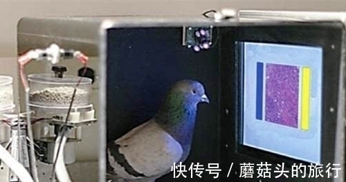 即便是学霸也并不一定知道的8个冷门的小知识