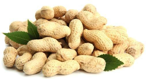 冬天来了,多吃几种食物,降压减脂,美白抗衰,减肥排毒