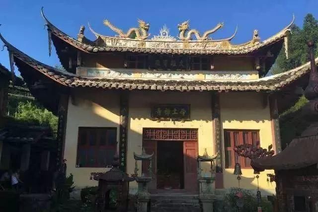  建寺|请购纯天然好白茶，结缘建寺功德