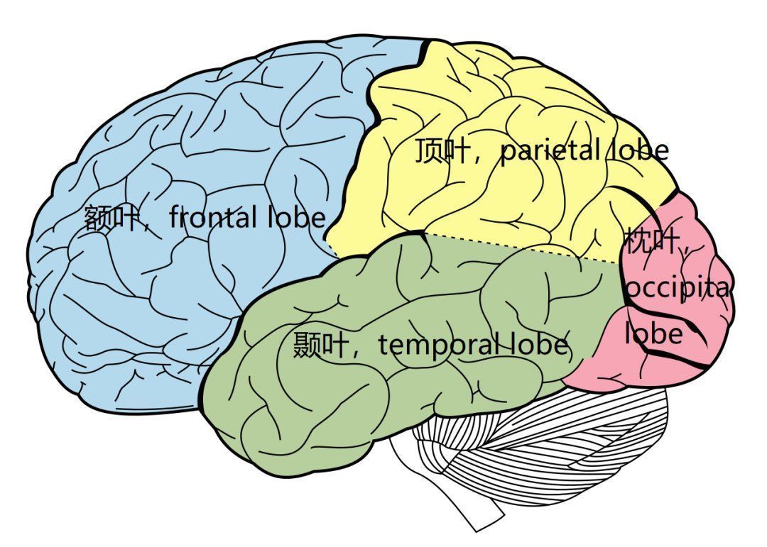 一席话|满篇废话？年轻人的笑点是越来越奇怪了