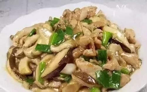 美食推荐：鲜菇滑肉片，丸子煲，凉拌黄瓜，韭黄炒肚丝的做法