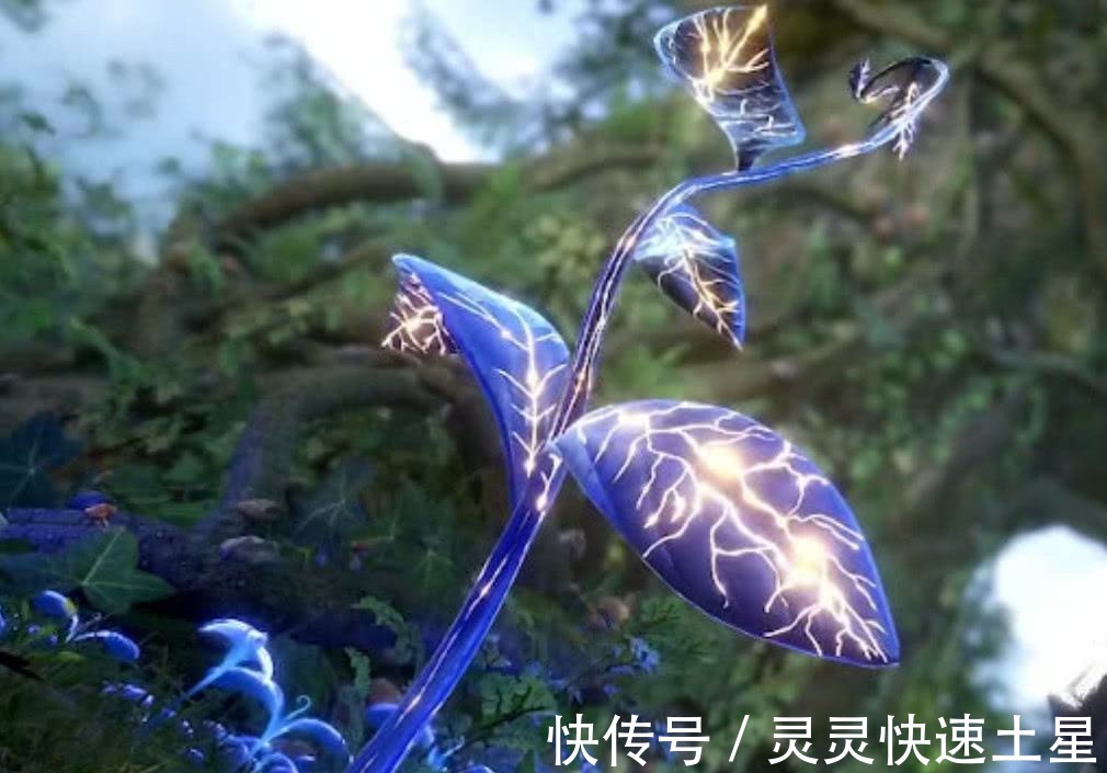 鬼斗罗|斗罗大陆十大领域，最后一个你绝对不知道，一直被忽视