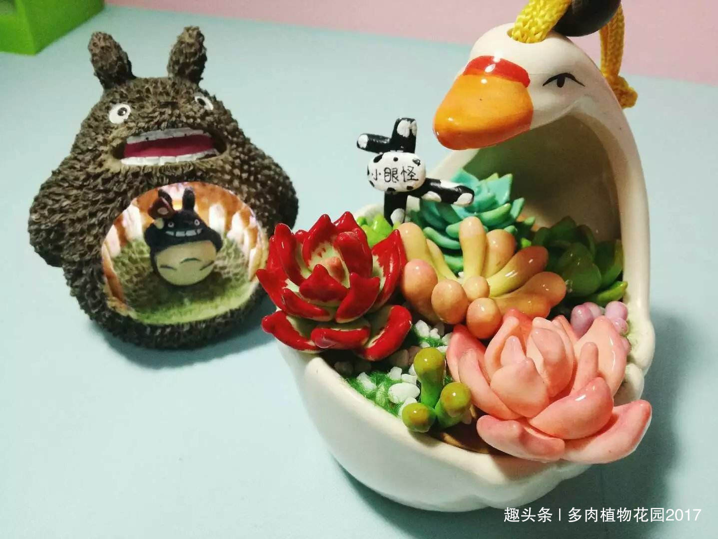 掉了的多肉叶片不要扔掉,自己在家繁殖多肉玩