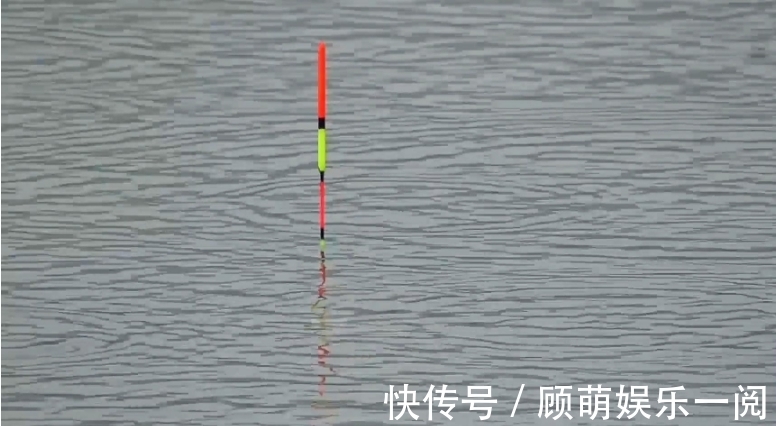 钓鲫鱼总是顶漂正常么？看完邓刚顿口调漂教学，野钓还是顶漂香