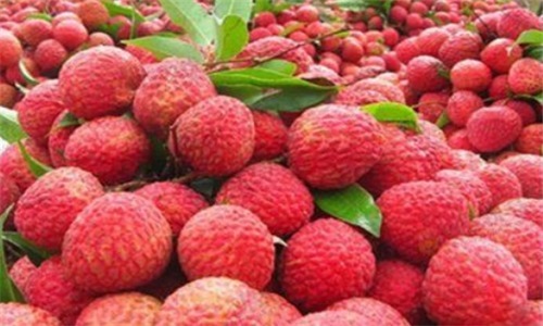 红心|会吃的人更健康,多吃3种食物,净化血液,缓解疲劳,改善失眠