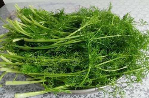 冬天,遇到这菜我从不会放过,一次性买上好几斤,常吃家人脾胃好