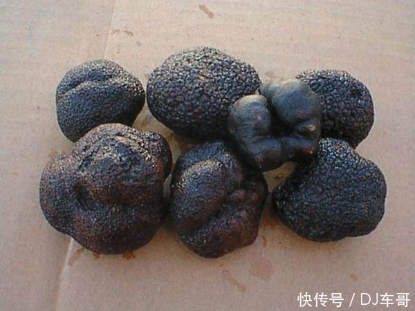 花盖梨|农村几种你绝对没吃过，却又异常美味的食物