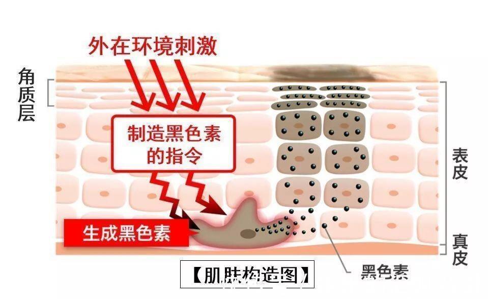 防晒值|女人涂防晒霜要牢记3个“不要”,不然涂了也白涂!很多人忽视了