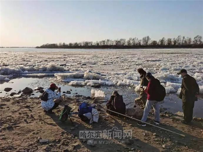 这才是最美的“快消”｜冰城特供，只此一季#超多美图【网络中国节·清明】