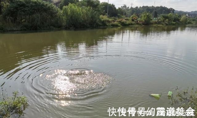 “呛水”真的能快速遛翻大鱼可能你一直理解错了