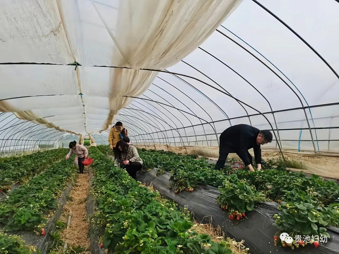 [Medical Fitness] Guichi District Maternal and Child Health and Family Planning Service Center Trade Union organizes trade union employees to carry out medical fitness activities