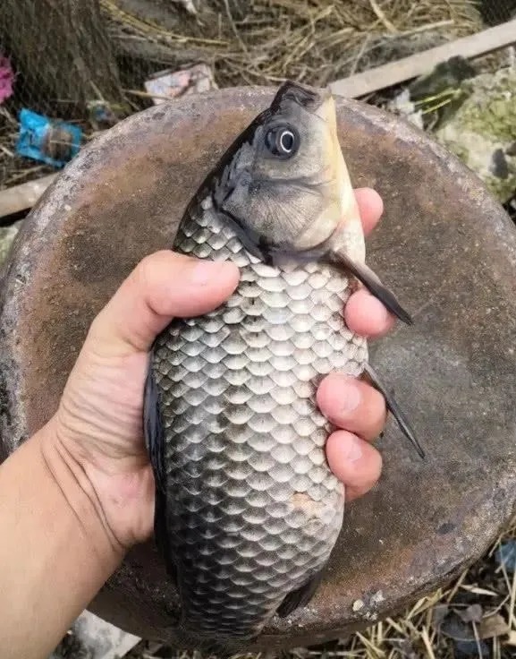 都说冬天要钓深水,为啥你钓深水却经常空军?问题就出在这4点上!