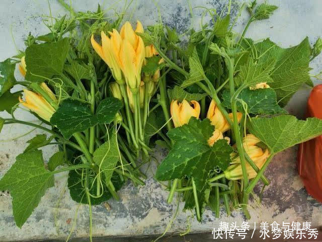 南瓜花的结构图解 南瓜花的结构图解