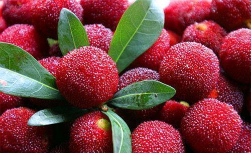 排毒|女性不想气色差,常吃3物,促进肝脏排毒,滋养肌肤,改善睡眠