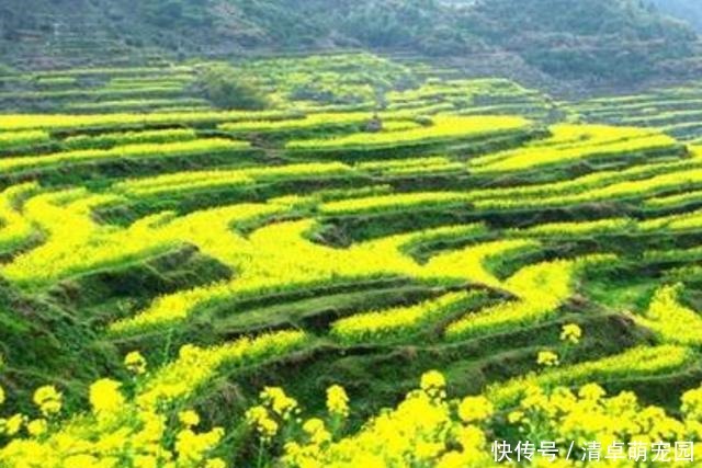 江西“悬浮屋”走红，房屋拦腰截断，屋顶悬于高空，原理至今成谜