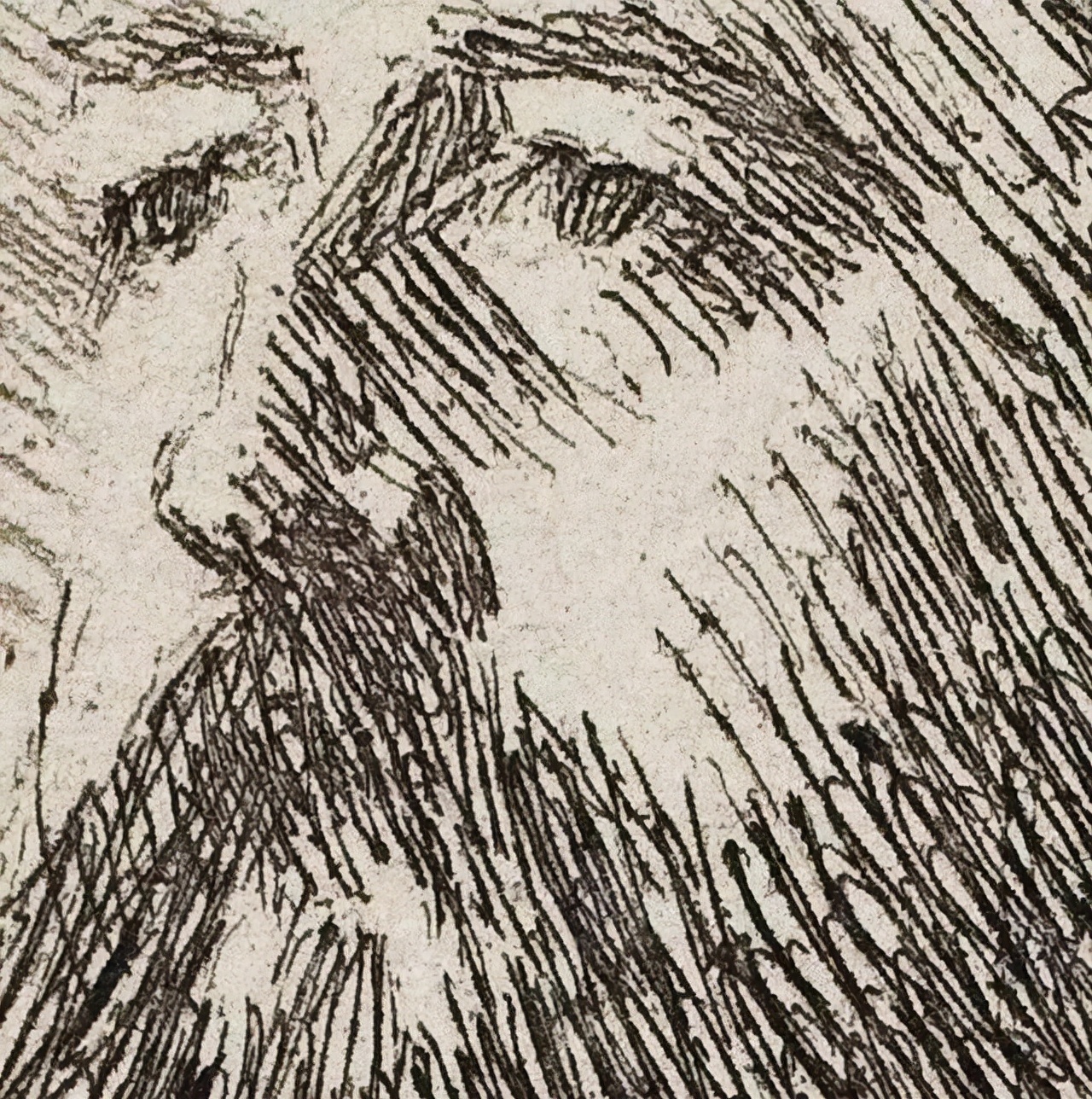 素描&20世纪初北欧著名素描大师,寥寥数笔就能捕捉到人物的神态,被誉为“线条的指挥家”