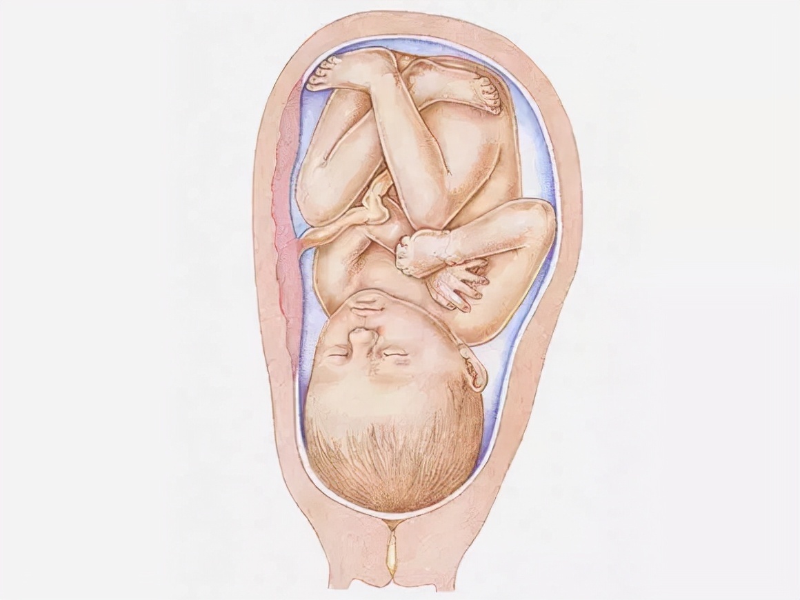 发育|看完胎儿发育的全过程,生呗只能感叹妈妈真伟大!