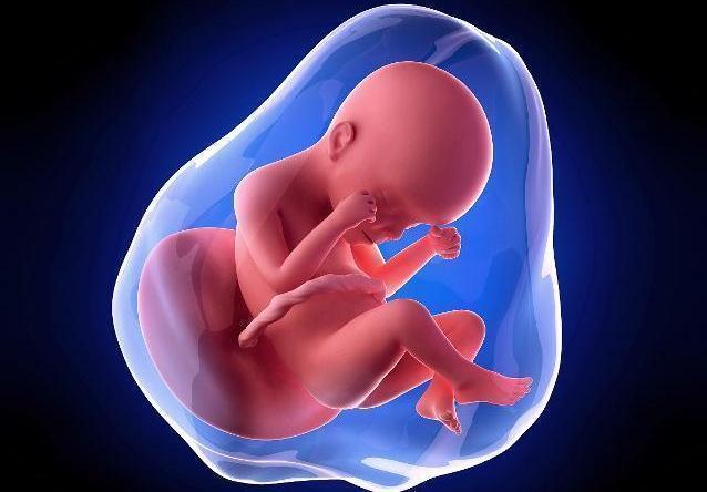 羊水量|孕妇在3个时间点多喝水,羊水更充足,对胎儿发育好