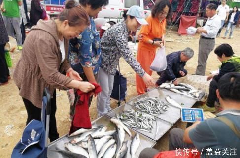  海水鱼|过节吃鱼，首选这3种鱼，现在没有办法人工养殖，吃着更放心