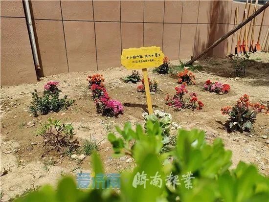 这所学校开辟1500㎡菜地！校长说，孩子就应该脚下有泥、身上有汗