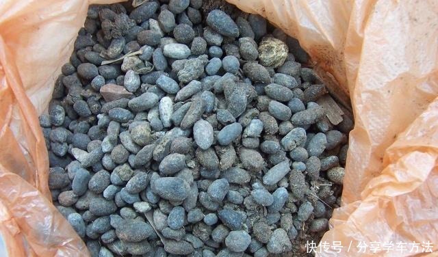 养花施肥,这“4大禁区”莫入,不然适得其反,啥花都会烂根黄叶!