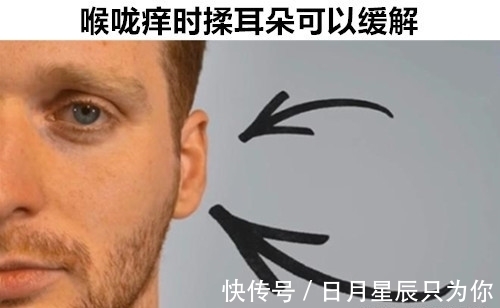 12个即便“满腹经纶”的学霸,也可能不知道的罕见冷知识