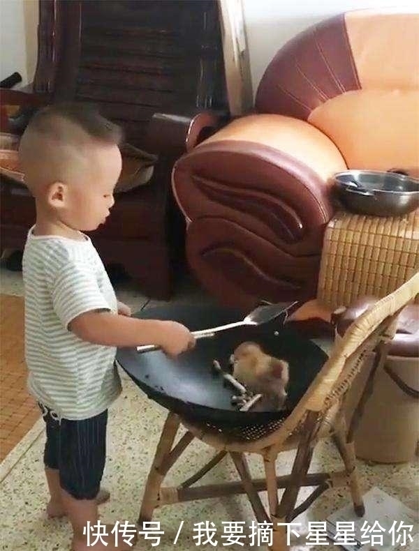 宝宝|3岁宝宝偷偷给妈妈做“小鸡炖蘑菇”,妈妈看到照片后乐坏了