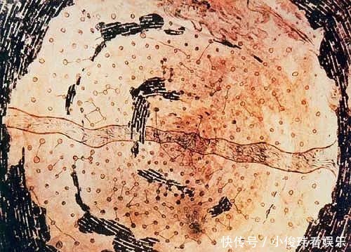 世界上|李约瑟:除了四大发明,古代中国还有30个世界之最