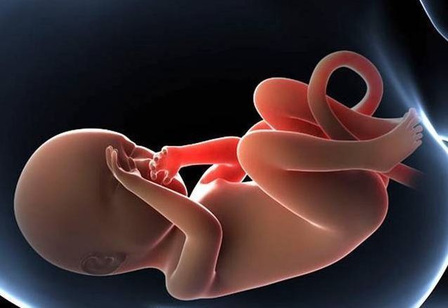 护士|新生儿身长“统一”50CM,并非医护人员瞎写,这背后的秘密可不少