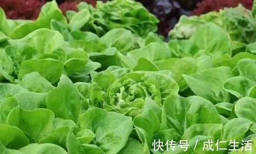 肠道|消化科医生:便秘万万不可拖,日常坚持5个方法,越来越通顺