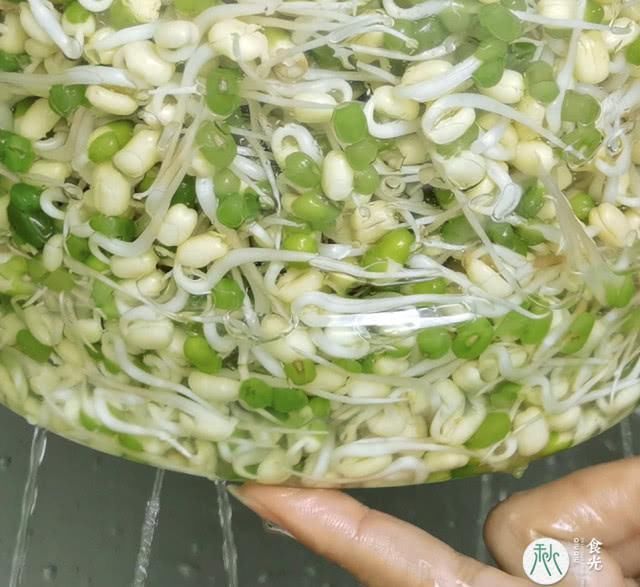 喜欢吃绿豆芽的快来看看,3把绿豆5天生出1大桶,安全健康放心吃