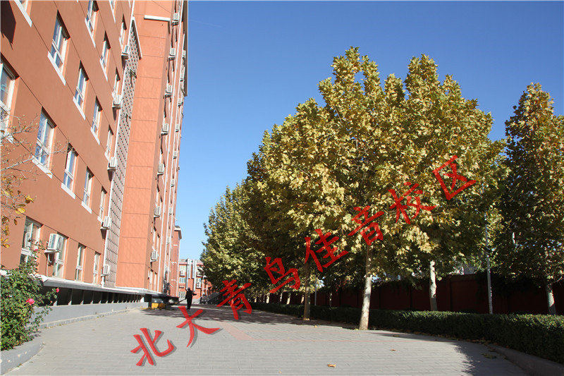 电脑知识|北大青鸟:零基础学电脑从哪里入手