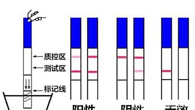 方式|排卵期、受孕期、预产期的计算方式，打算要娃的话，心里要有数