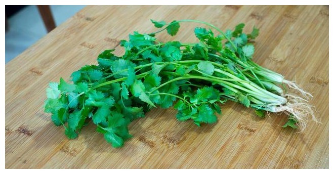 香菜保存有诀窍,3种储存方法,随吃随取,不发黄不腐烂,去试试