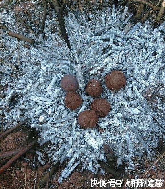 美味|原来鸡蛋还可以这么吃！实在是太赞了，超级美味。