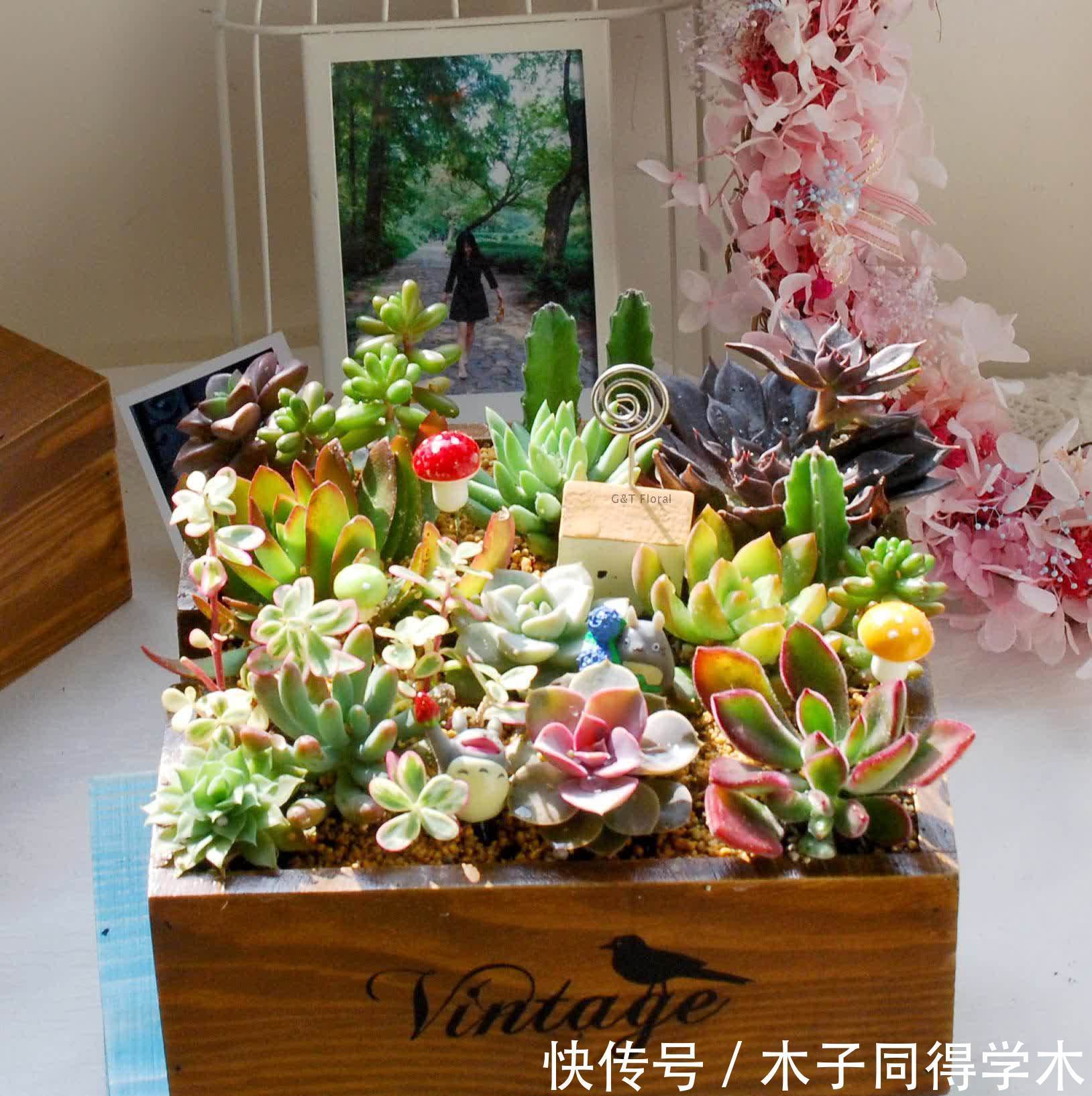 花店买花，别选4种，买了也养不好，半死不活真难看，白花钱了