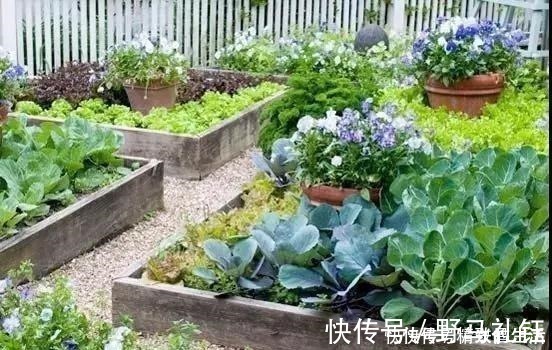 种菜|别墅院子这样设计，庭前栽花，屋后种菜，实现梦想中的田园生活！
