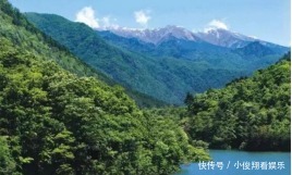 五一假期，喊你来黄柏塬“春食野”