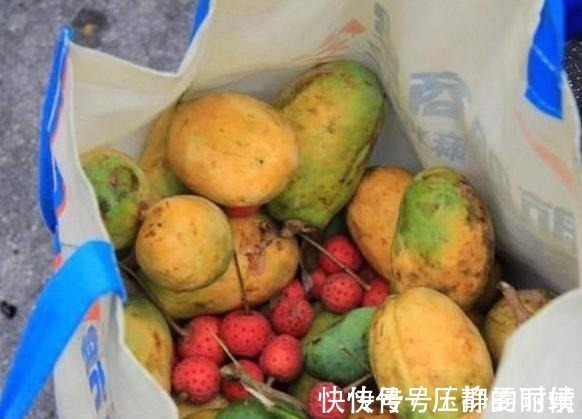 垃圾|人到中年想长寿,三种食物不可少,清理体内垃圾,提高免疫力