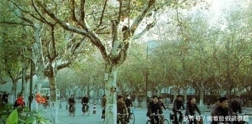 美得|美国人拍摄的1997年中国图1让人怀念、图5现在都是富豪、图6美得不像话