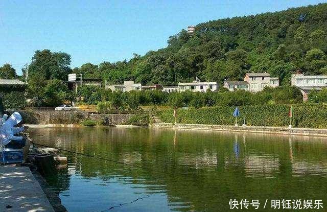 钓鱼饵料这样搭配,有助于提高上鱼频率