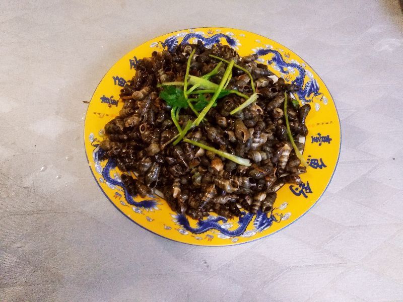 三伏天，喝酒配什么菜好这10道下酒菜有荤有素，啤酒白酒都配