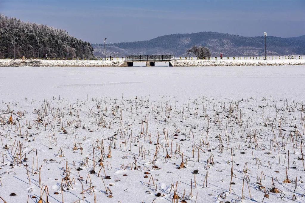 心间|净月潭的雪，美在山川，暖在心间！