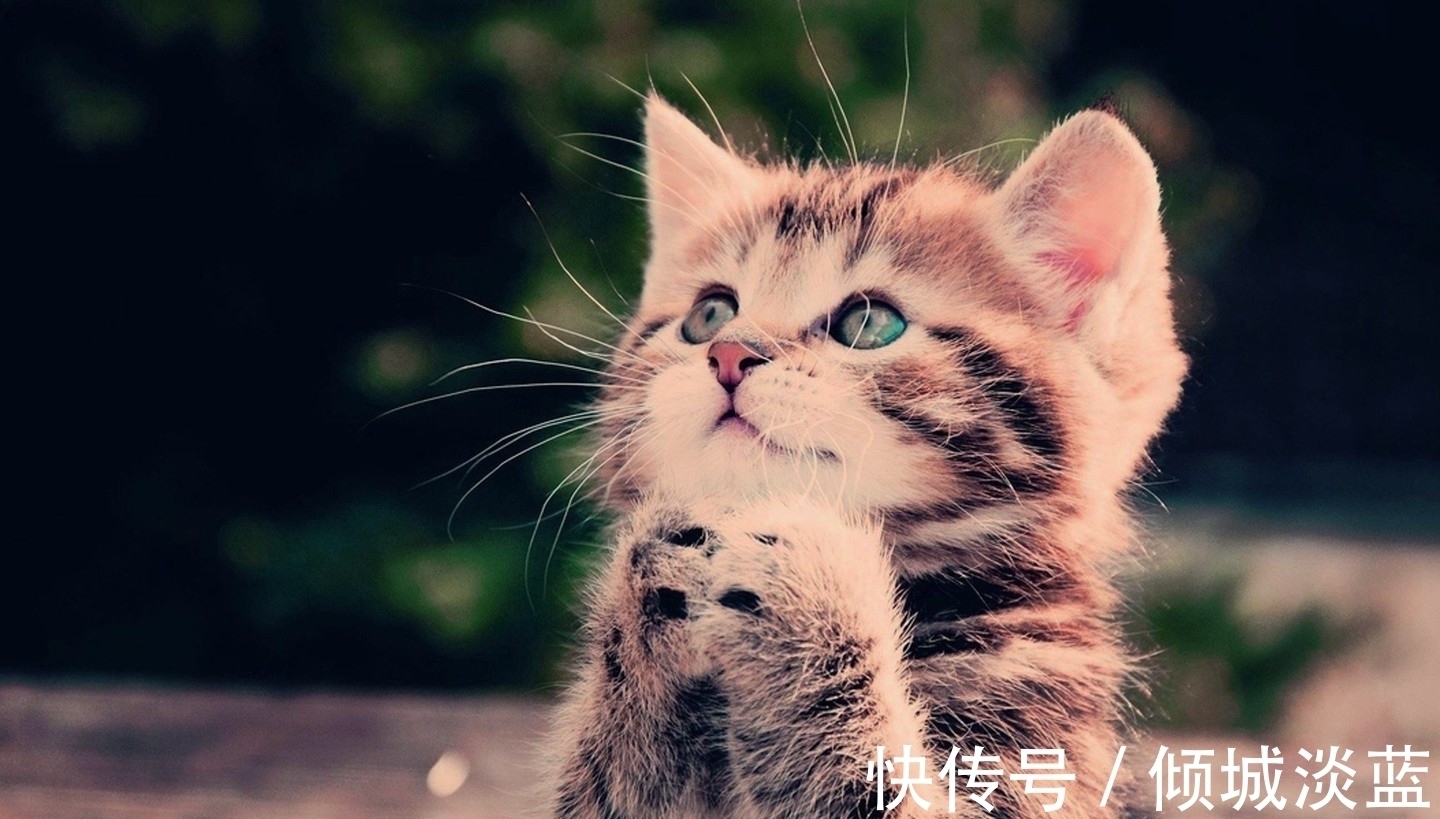 五斗米&多少人生活不如意,都在岑参一句唐诗“只缘五斗米,辜负一渔竿”