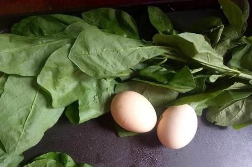 枸杞梗|鸡蛋和它才是天生一对，每周吃2次，气色好了，眼睛也变明亮了！