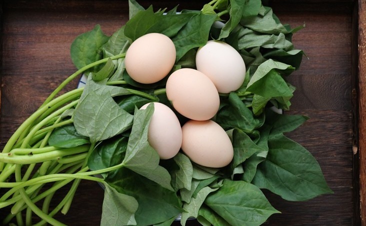 正当季|红薯叶煮鸡蛋，作用实在是太厉害了，省钱又实用，很多人都不晓得
