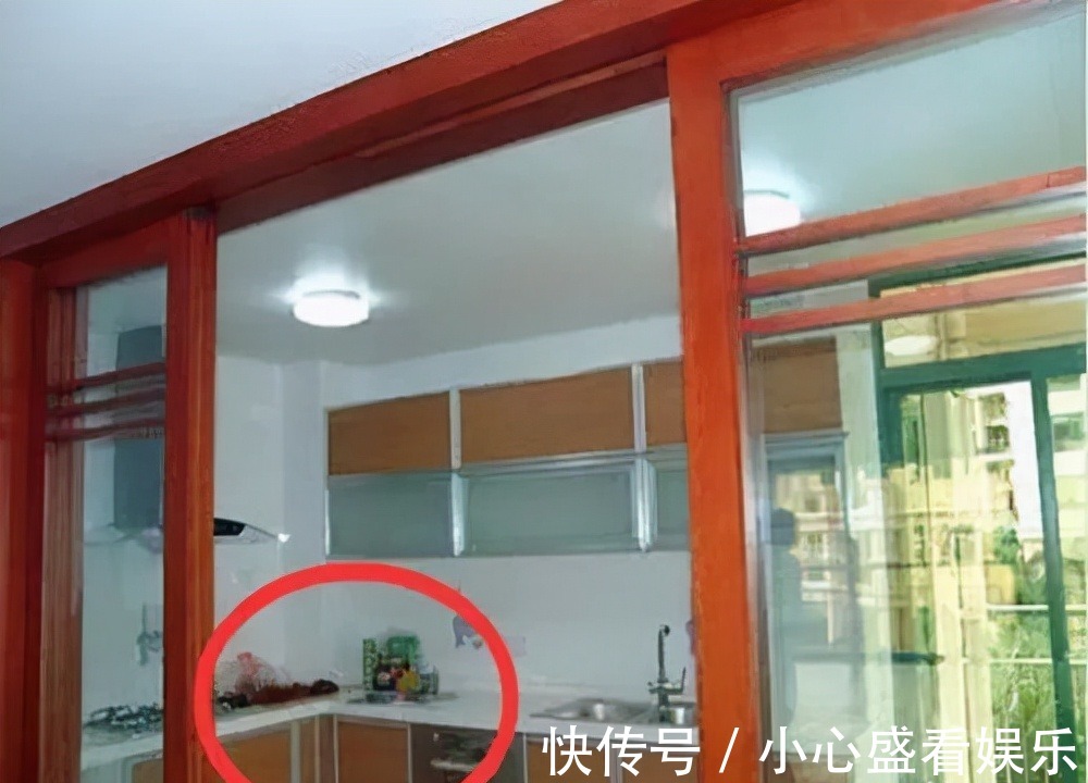 推拉门|去了趟邻居家我才知道,原来厨房推拉门过时了,有钱人都这样装!